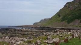 Family History Conference, September 2015  - 29