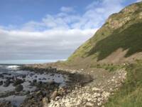 Family History Conference, September 2019  - 44