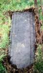 Taughboyne, Scot. 1668