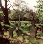 Friars Bush 1