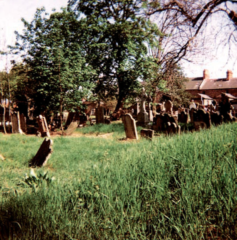 Friars Bush 4