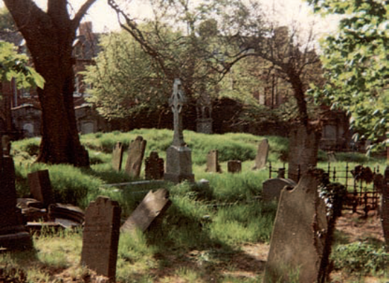 Friars Bush 1